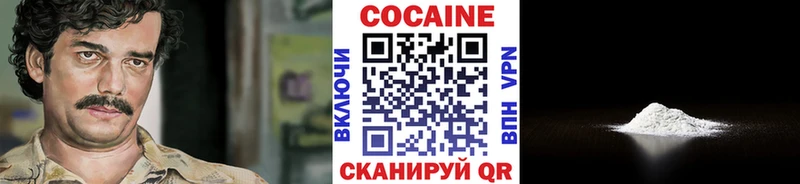 Купить закладки  Дудинка  Кокаин Fish Scale 