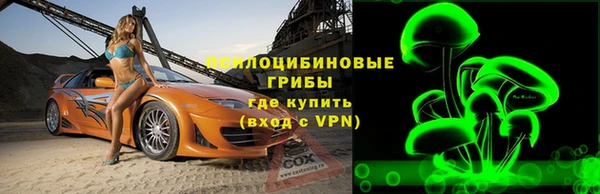 Альфа ПВП Инсар