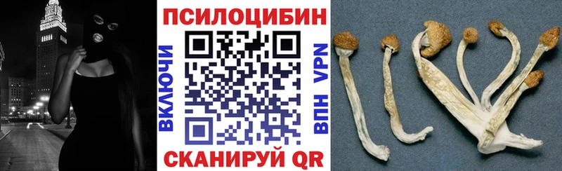 Псилоцибиновые грибы прущие грибы  Купить закладки  Дудинка 