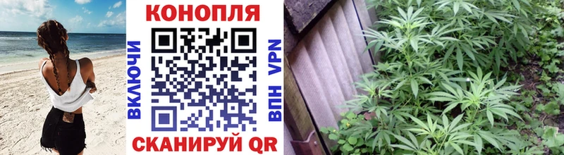 Купить где  Дудинка  Каннабис конопля 